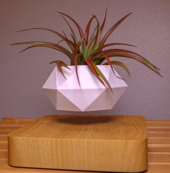 Levitating Plant Pot - Image 8