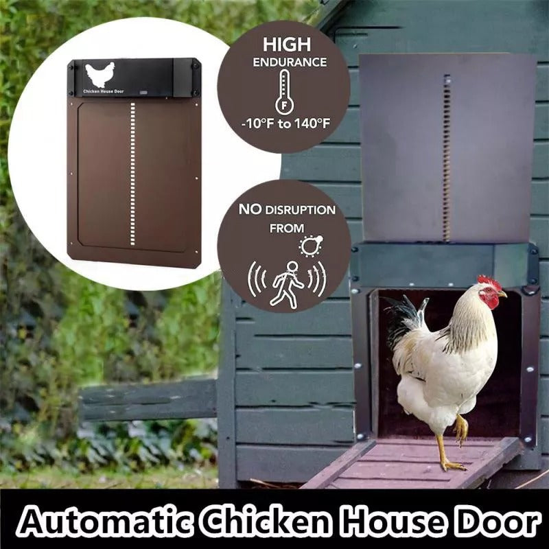 Automatic Chicken House Door