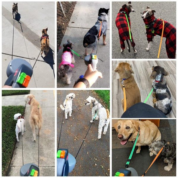 Retractable Double Dog Leash - Image 4