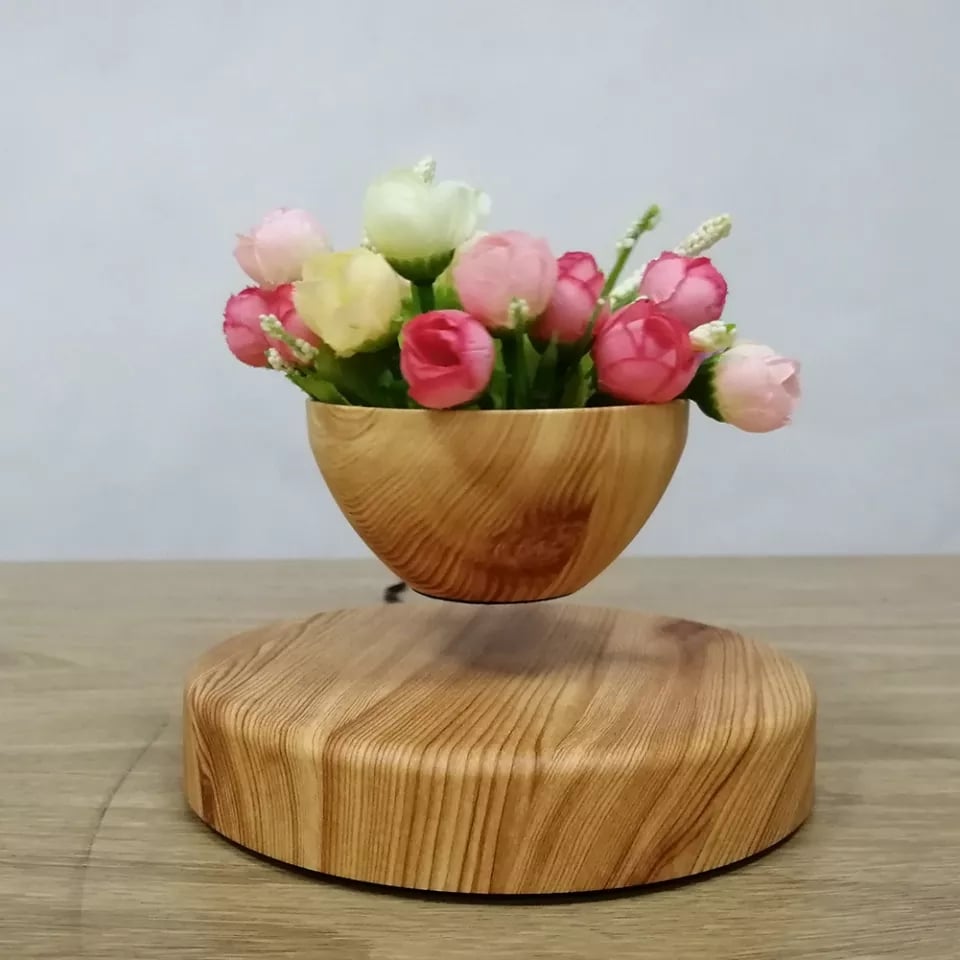 NEW 2022 Magnetic Levitation Plant Pot