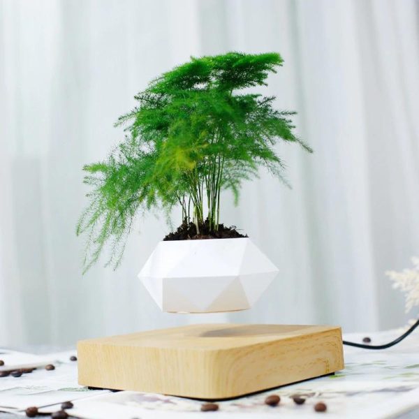Levitating Plant Pot - Image 5