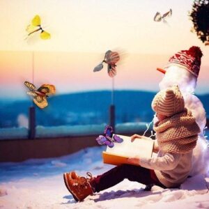 Magic Butterfly