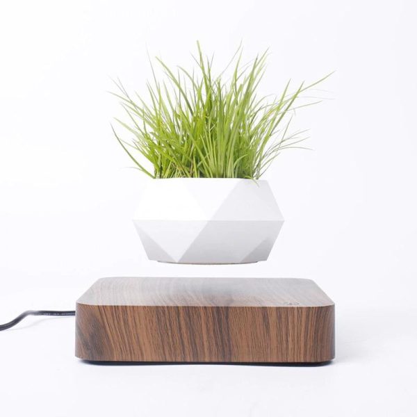 Levitating Plant Pot - Image 2
