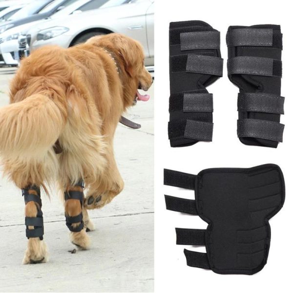 Dog Knee Pads Protector - Image 3