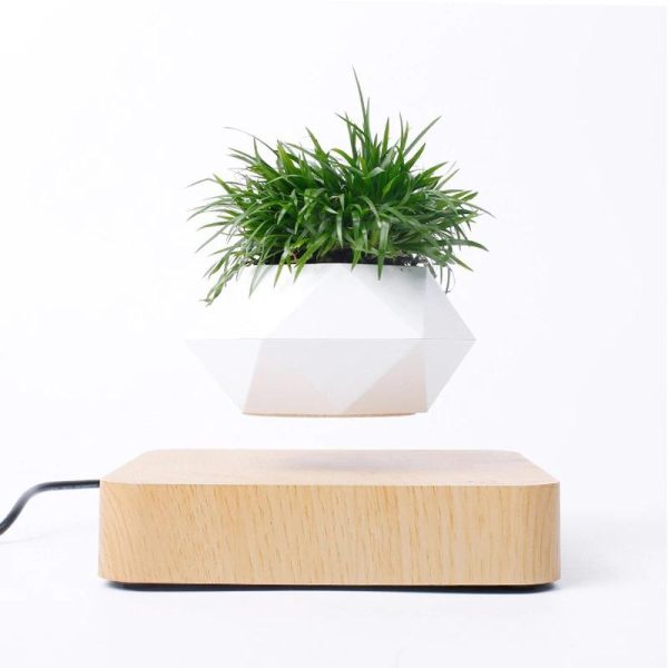 Levitating Plant Pot - Image 4