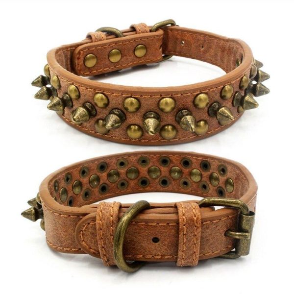 French Bulldog/Pitbull Dog Collar - Image 2