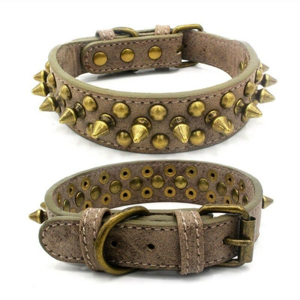 French Bulldog/Pitbull Dog Collar - Image 9