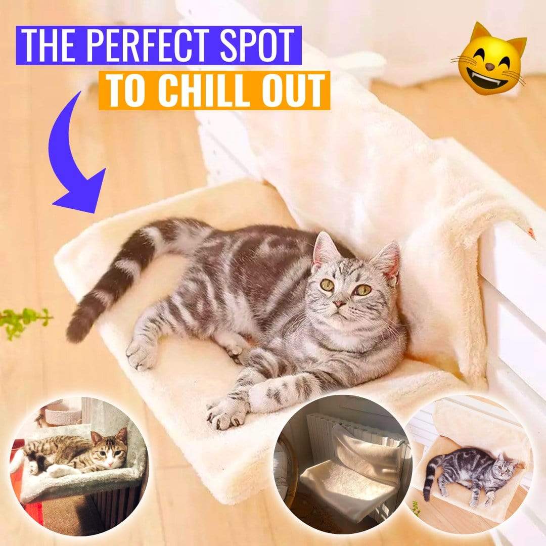cat radiator bed