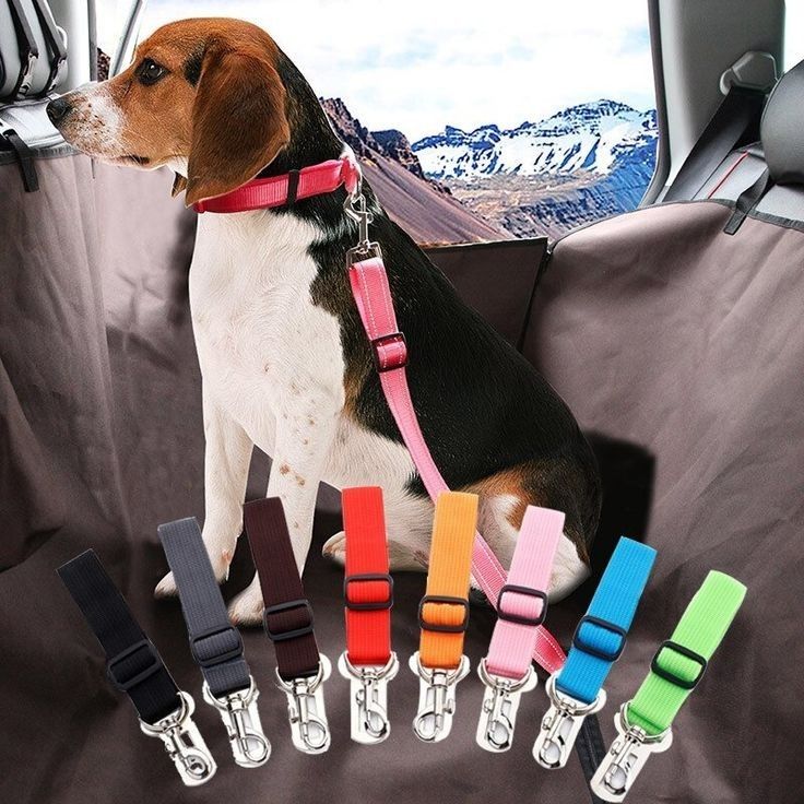 dog car safety seat belt
