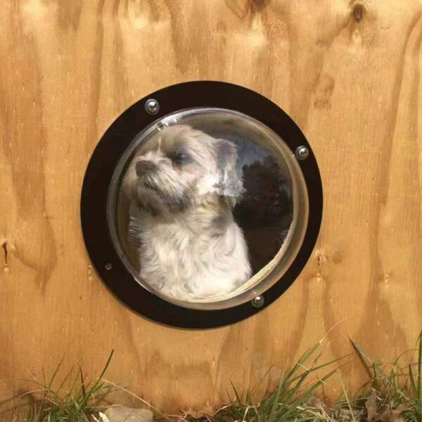 dog fence window 2