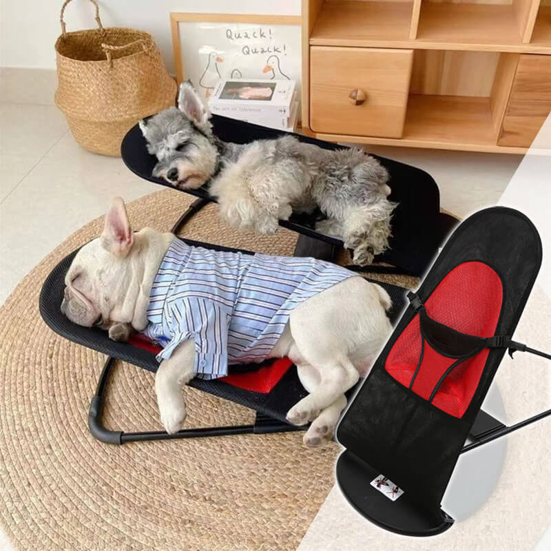 dog rocking chair 1