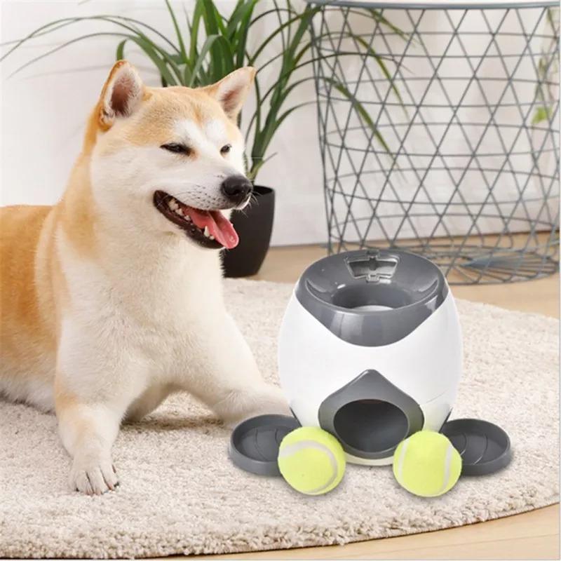 Dog Training Toy Machine