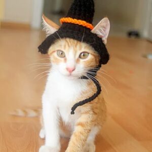 halloween witch cat hat 11