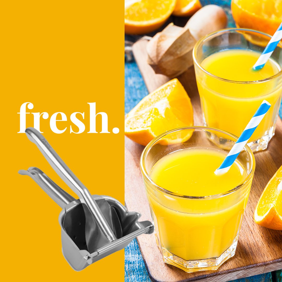 GForce Manual Fruit Juicer