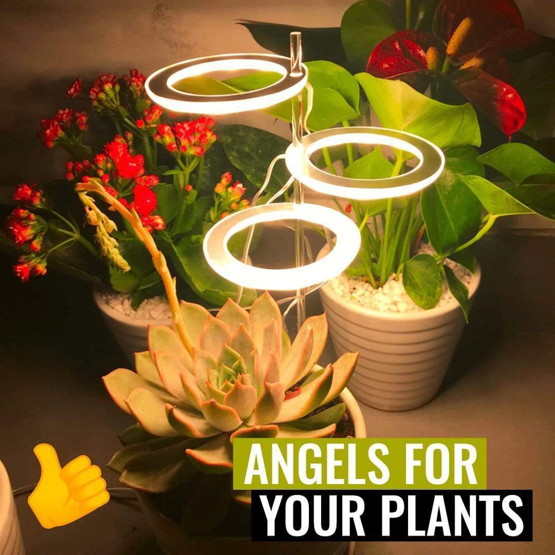 phytolamp indoor plant grow light