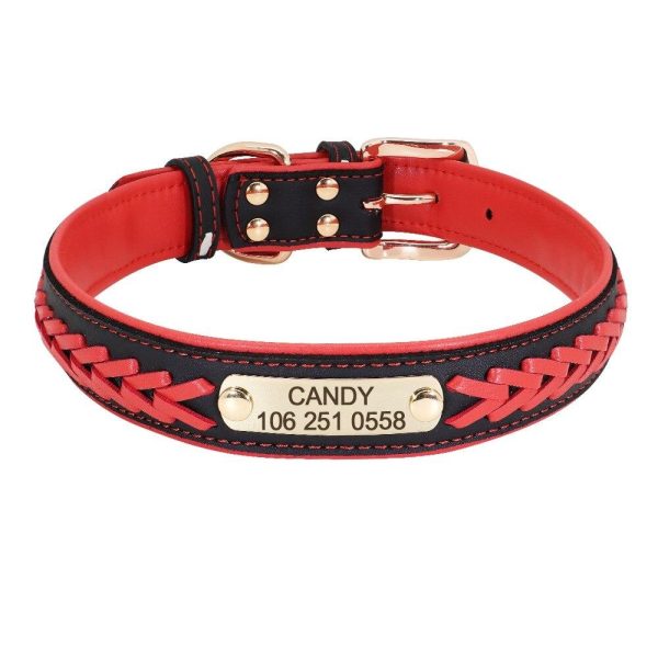 Personalized Dog Collar - Image 2