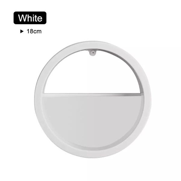 Wall Round Flower Vase - Image 9
