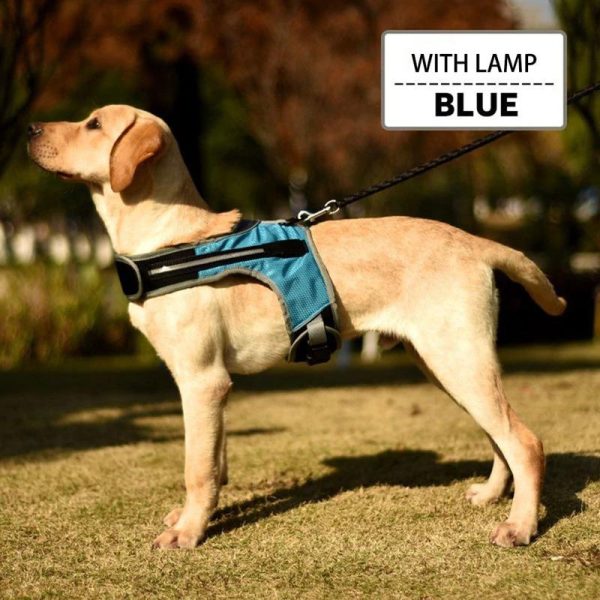 Safety LED Dog Harness - Image 3