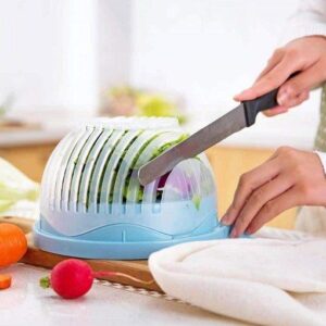 Salad Cutter Bowl