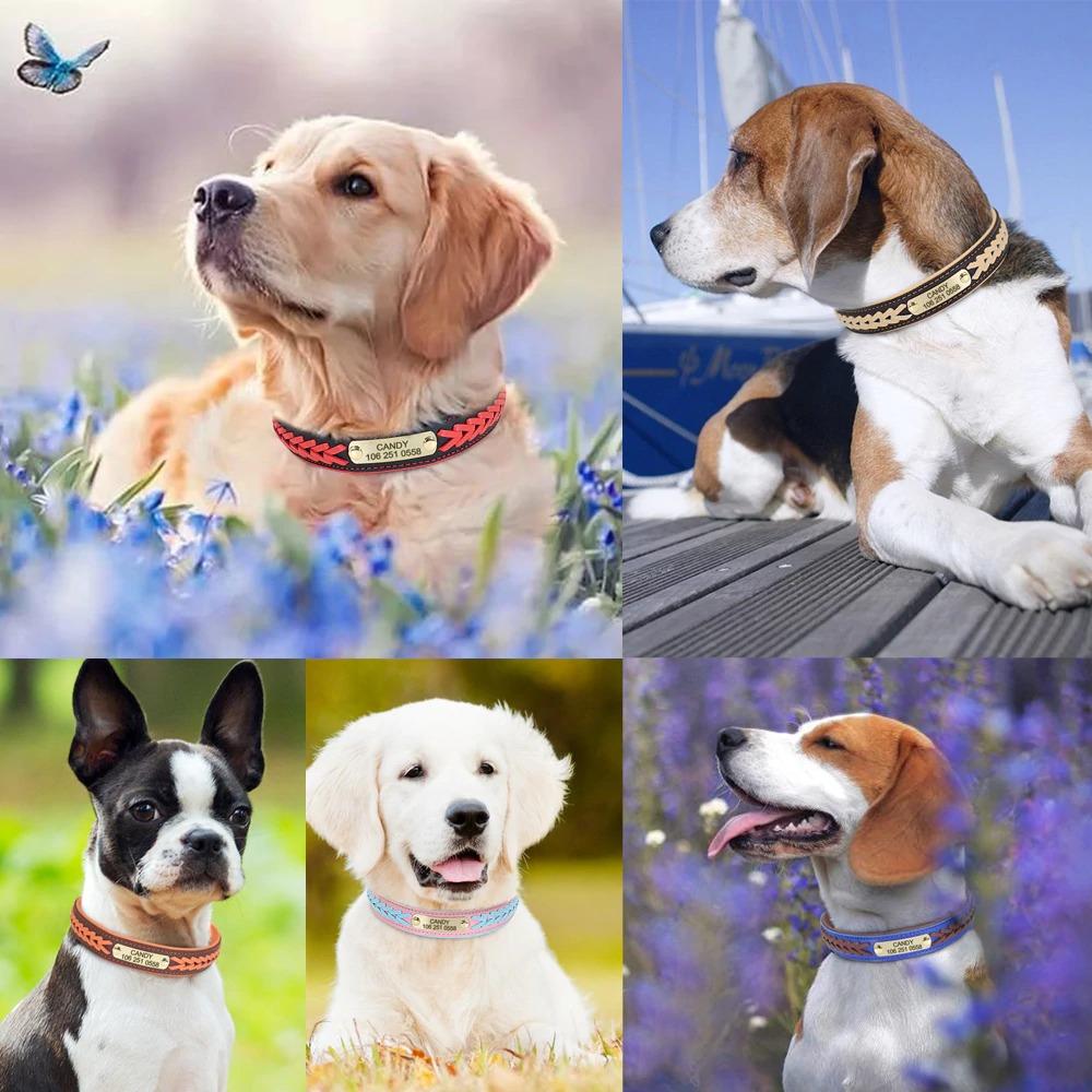 Personalized Dog Collar