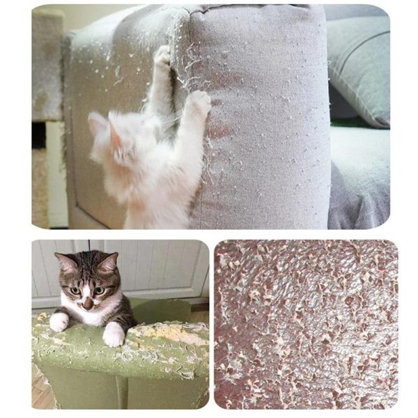 Cat Anti-Scratch Guard - Image 7