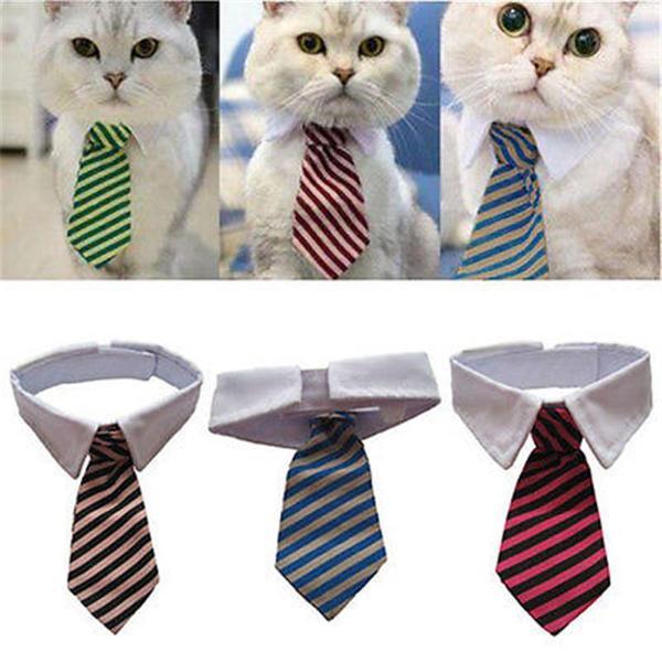 product-image-23030860_grande_884cfcd0-21fc-4a77-b3ef-afe02c64d007 Famous Pet Neckties - For Cats & Dogs