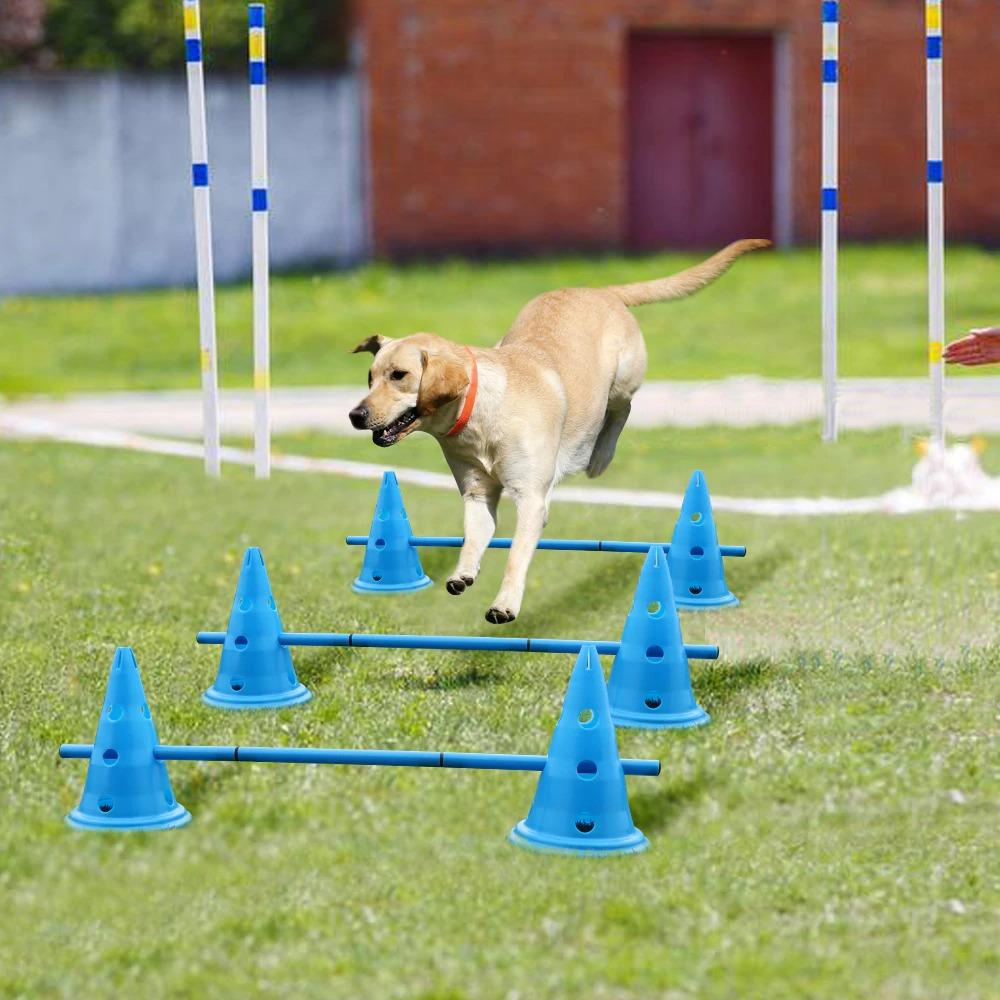 Outdoor Dog Training Equipment