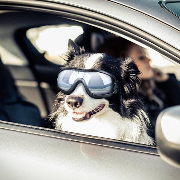 stylishwaterproofdoggogglesbestgadgetsfordogloversjulytestglamorousdogs635587_720x_b7cdd89b-296a-4610-b698-eb8b8cc006ad All-Season Dog Goggles