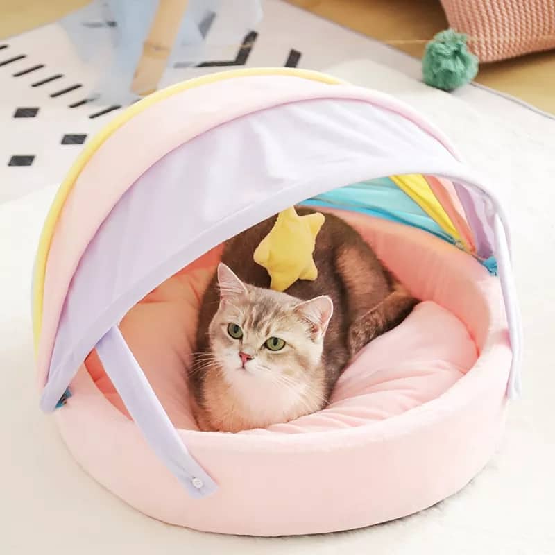Rainbow Series Princess Cat Bed Dzordz Shop