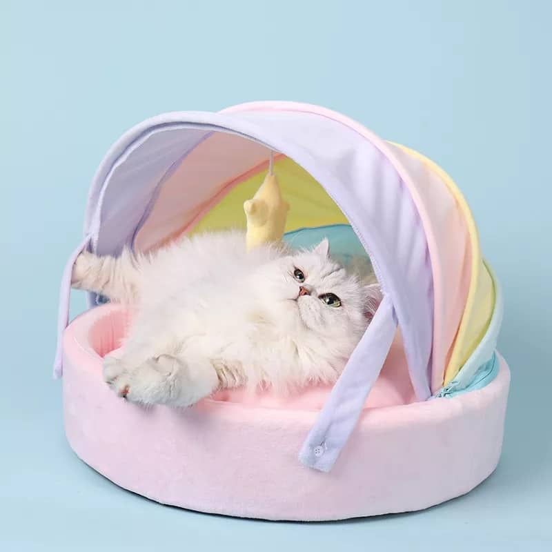 Rainbow Series Princess Cat Bed Dzordz Shop