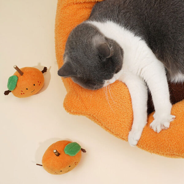 orange cat bed 13