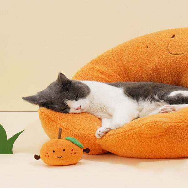 orange cat bed 15