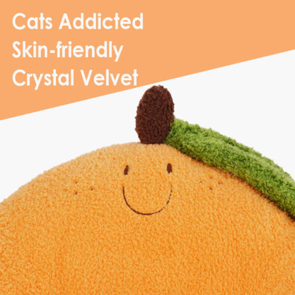 orange cat bed 21