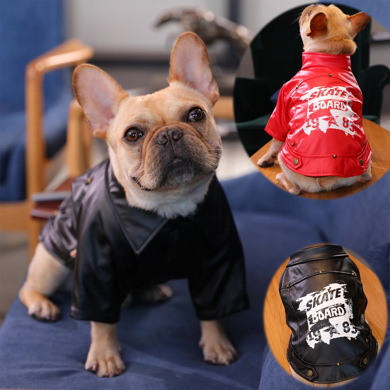 luxury fashion leather dog jacket 55