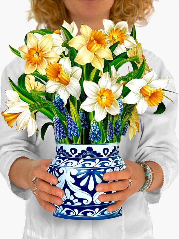 english daffodils (new)