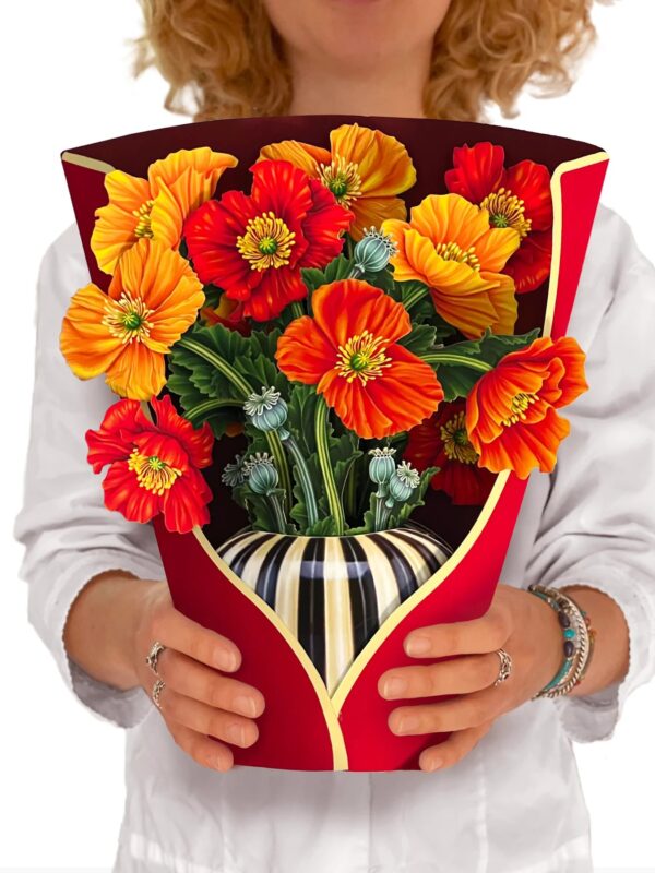 french poppies (new)