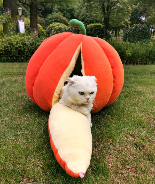 4444