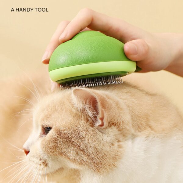 brush1