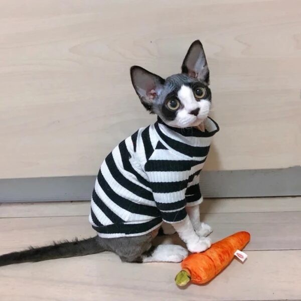 cat2
