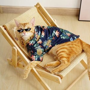 adjustable cat sisal chair 1000