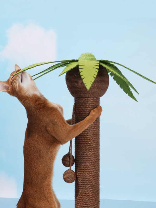 coconut palm scratching post 1