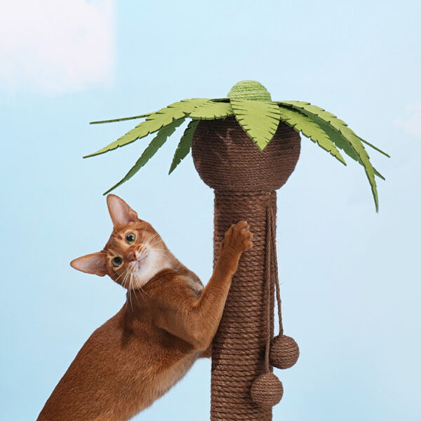 coconut palm scratching post 3