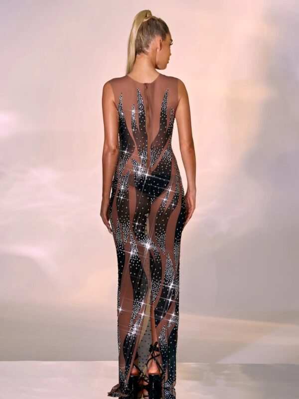 emmaline rhinestone mesh maxi dress 4