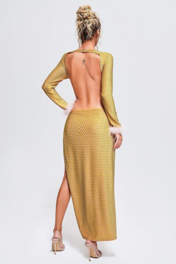 jaylee crystal maxi dress 3