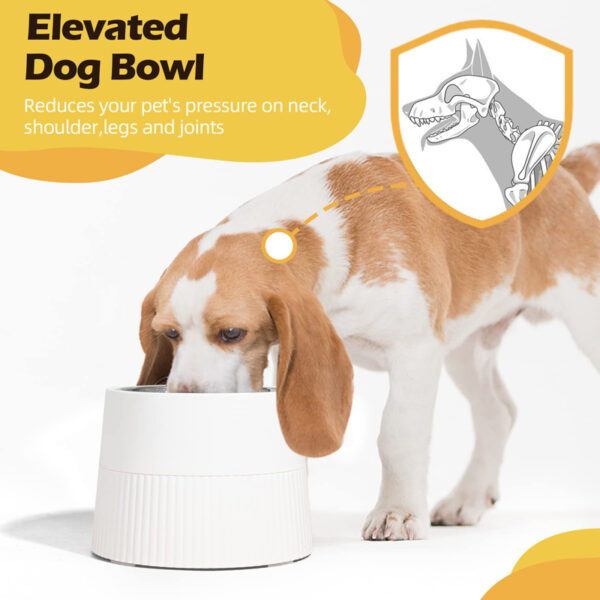 elevated stainless steel pet bowl 7