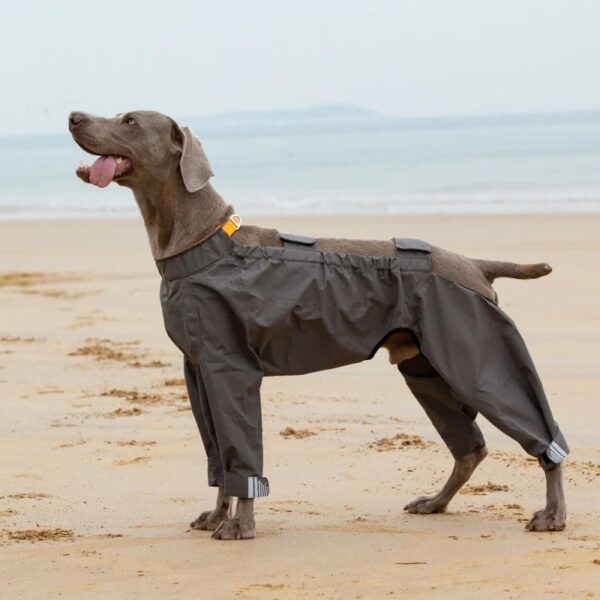 fully wrapped reflective dog raincoat with legs and hood 1
