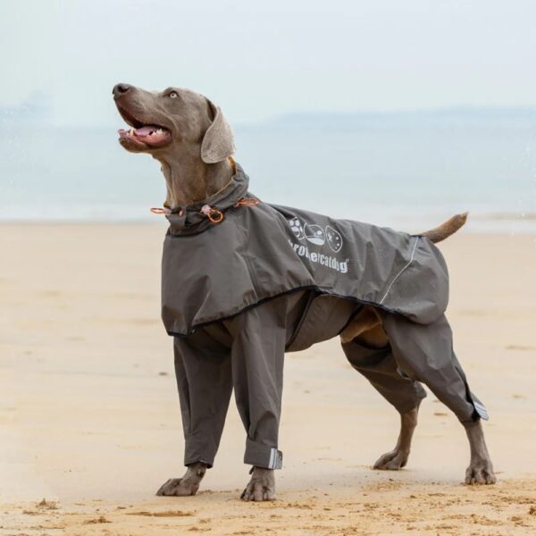 fully wrapped reflective dog raincoat with legs and hood 2