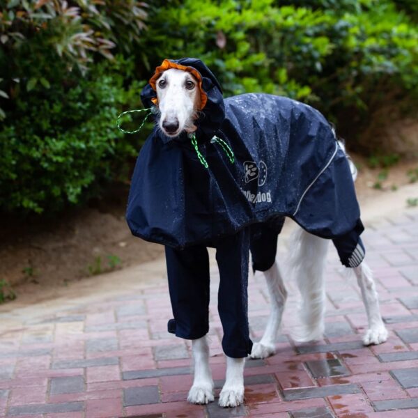 fully wrapped reflective dog raincoat with legs & hood 102