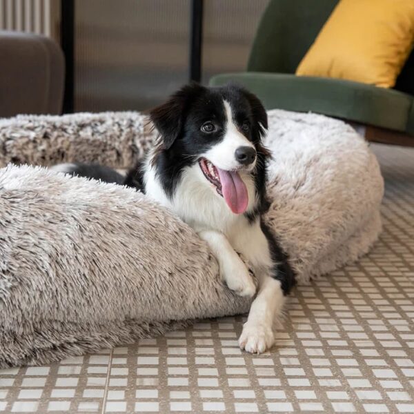 luxury super large sleep deeper human dog bed 11