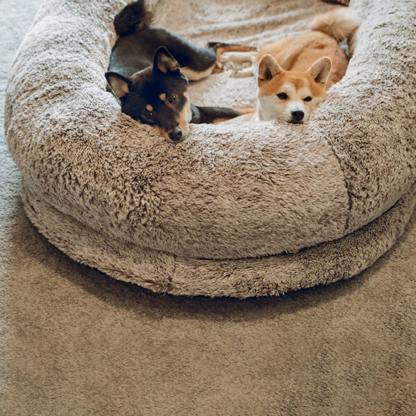 luxury super large sleep deeper human dog bed 12